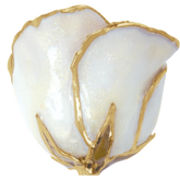 24K Solid Gold Rose- Diamond White